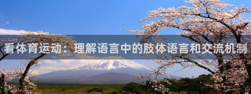 德国利记官方正版app集团:看体育运动:理解语言中的肢体语言