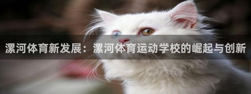 利记官网下载招商电话:漯河体育新发展:漯河体育运动学校的崛起