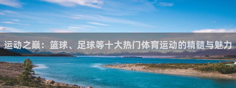 利记官网下载招商电话:运动之巅:篮球、足球等十大热门体育运动
